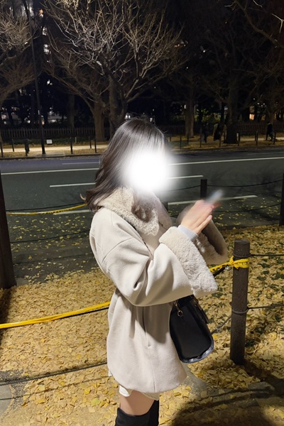 ぬこさんの写真